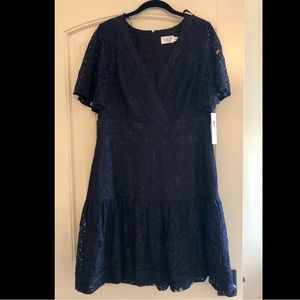Eliza J lace dress with blue lace overlay